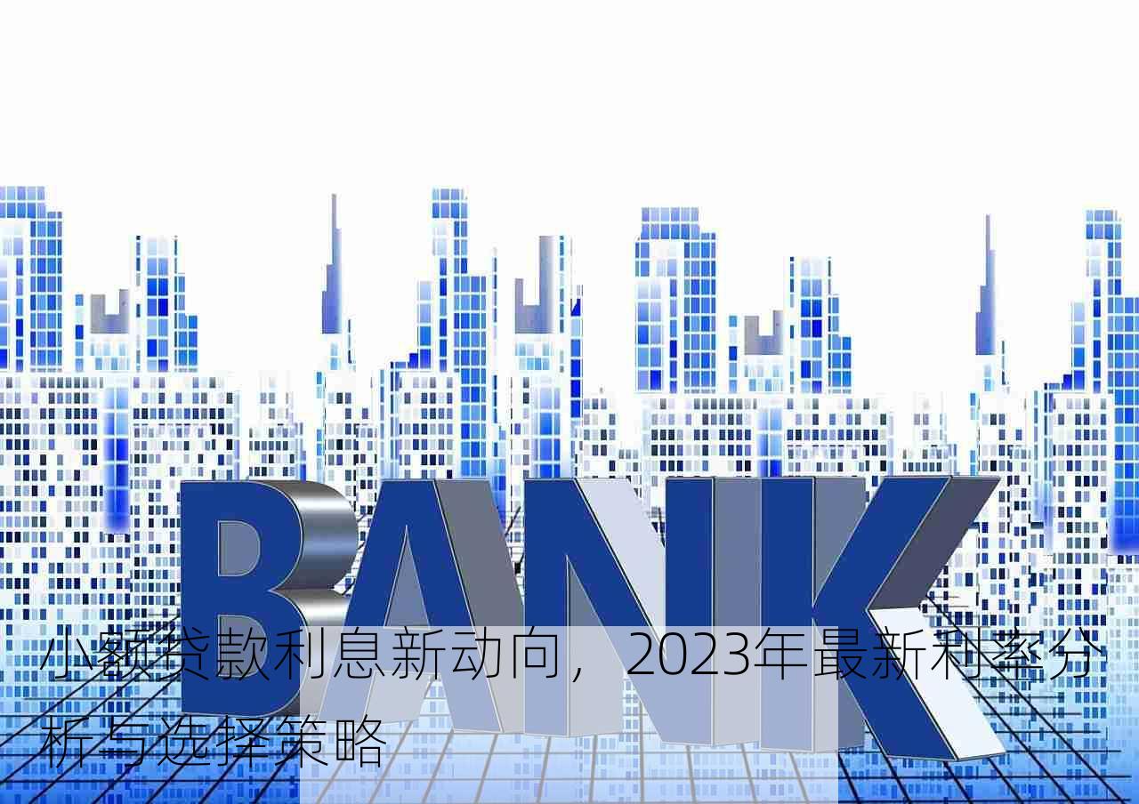 小额贷款利息新动向，2023年最新利率分析与选择策略