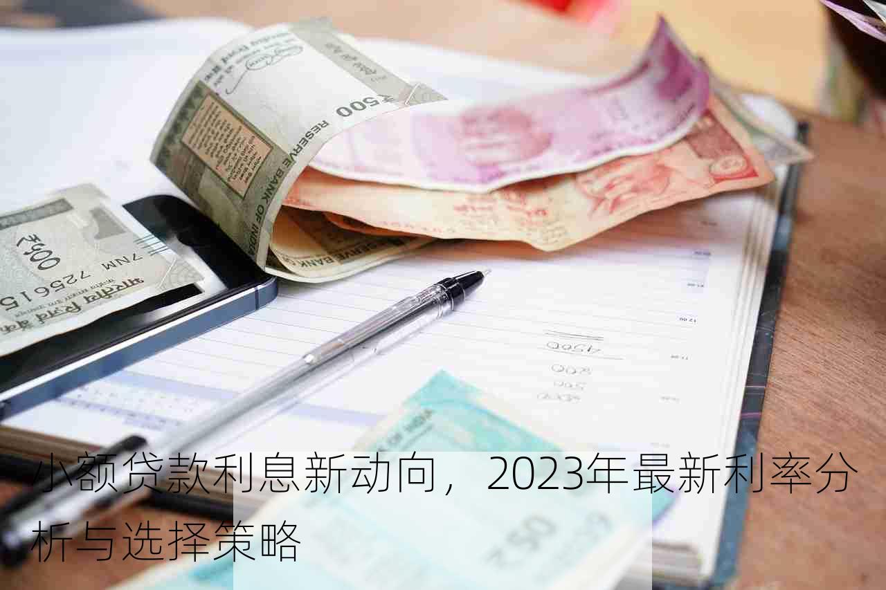 小额贷款利息新动向，2023年最新利率分析与选择策略