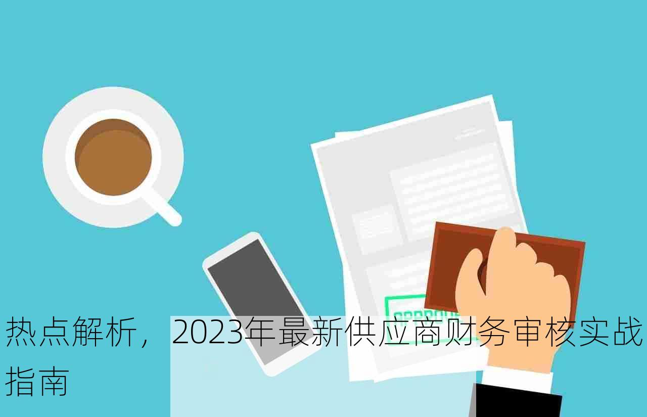 热点解析，2023年最新供应商财务审核实战指南