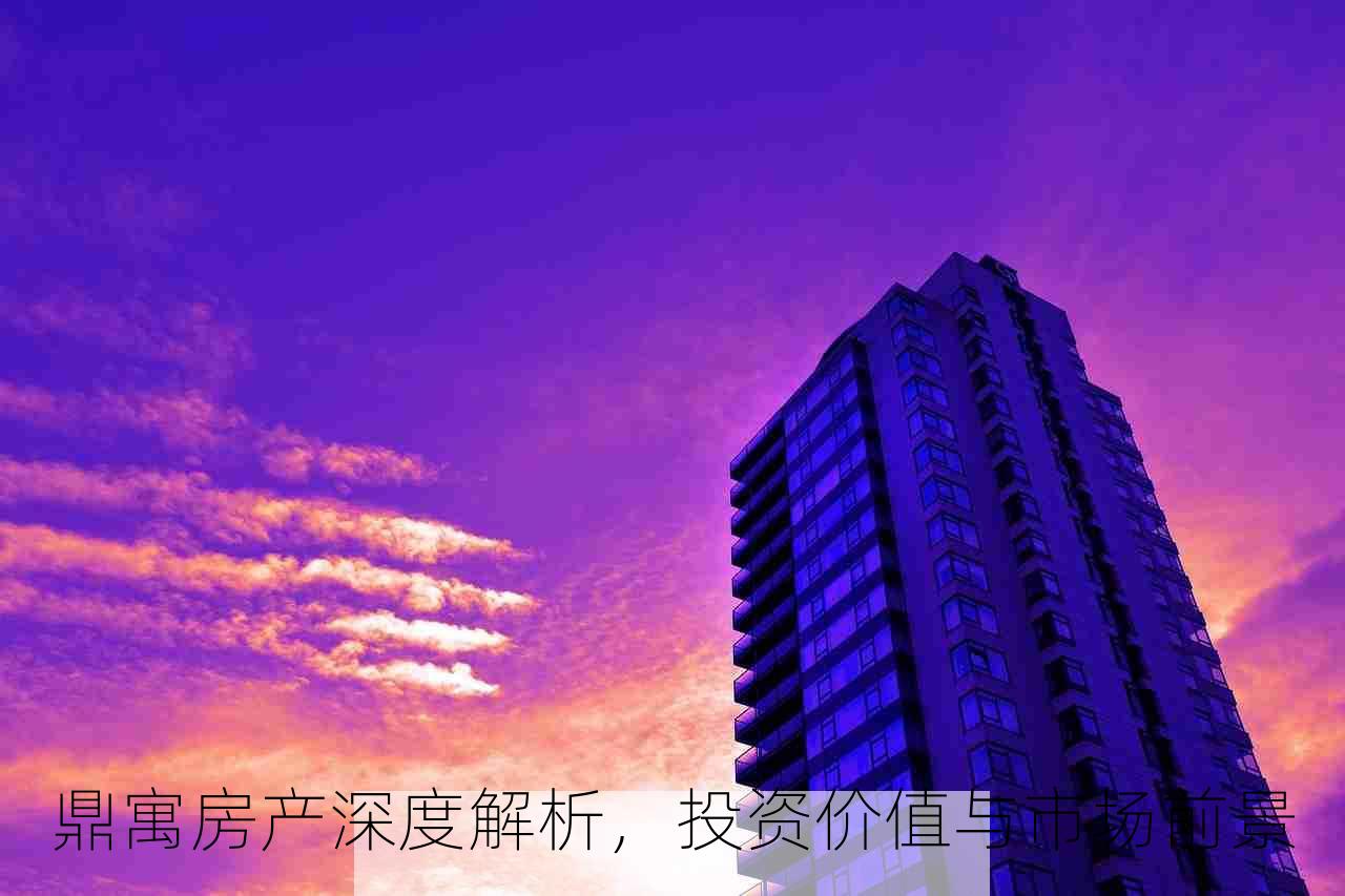 鼎寓房产深度解析，投资价值与市场前景