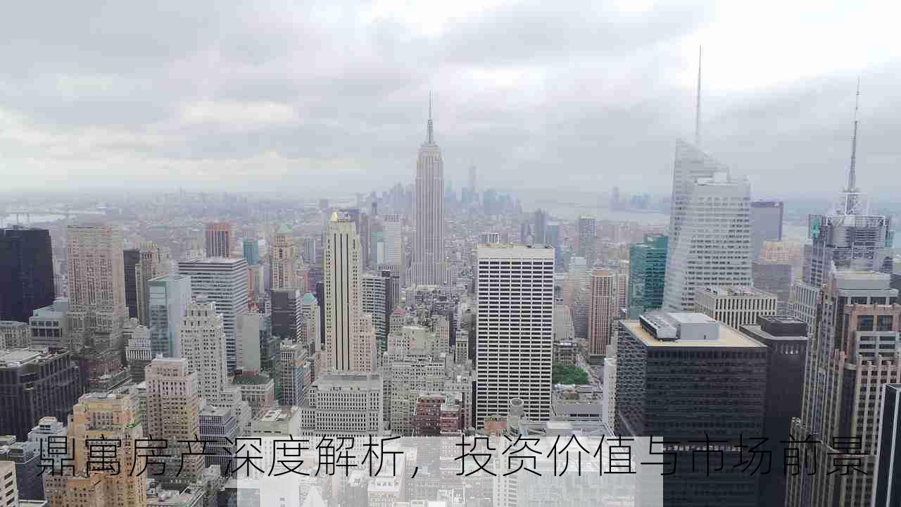 鼎寓房产深度解析，投资价值与市场前景