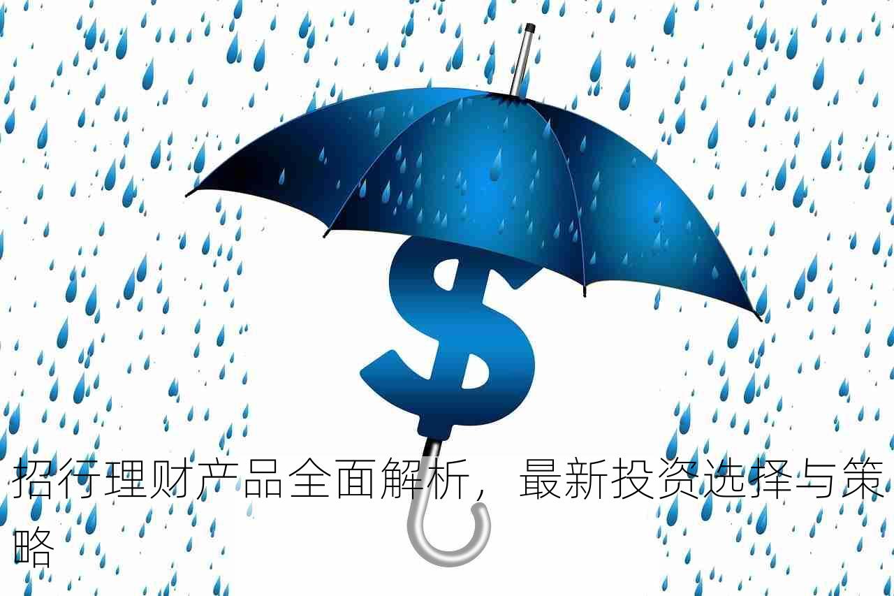 招行理财产品全面解析，最新投资选择与策略