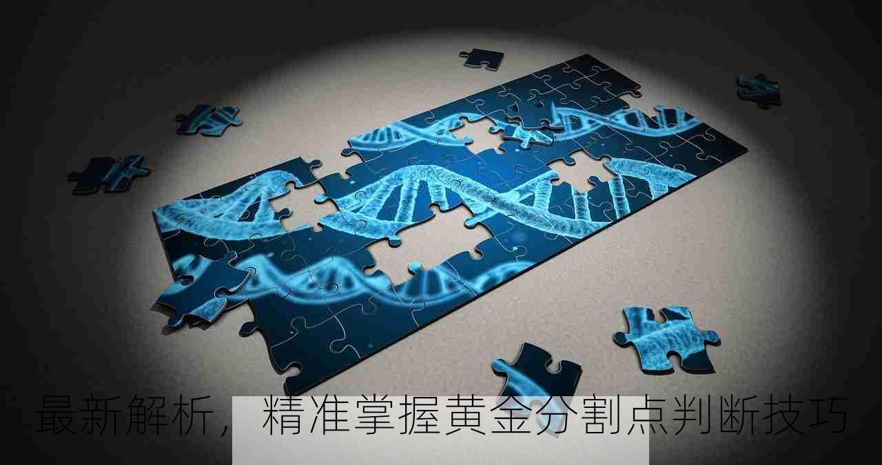 最新解析，精准掌握黄金分割点判断技巧