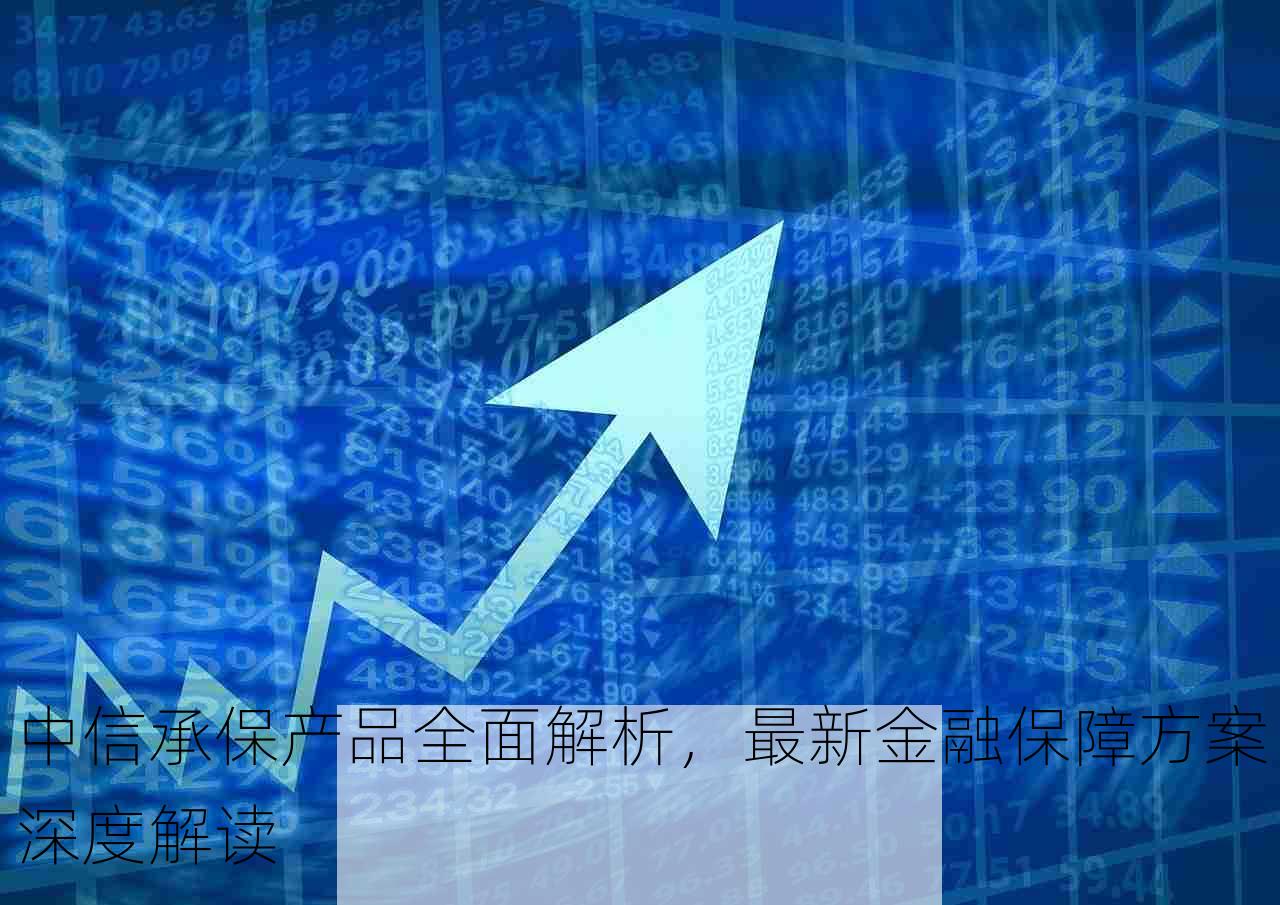 中信承保产品全面解析，最新金融保障方案深度解读