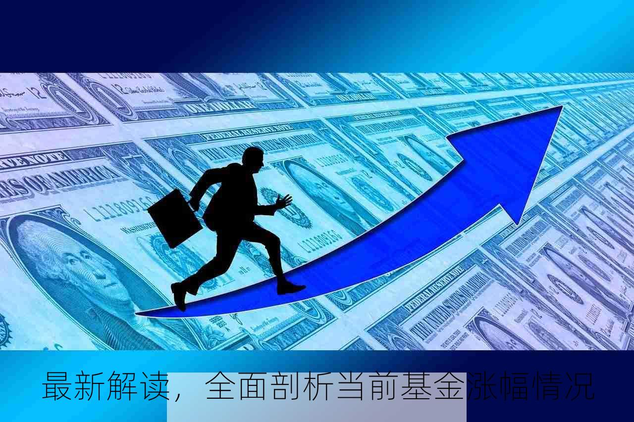 最新解读，全面剖析当前基金涨幅情况