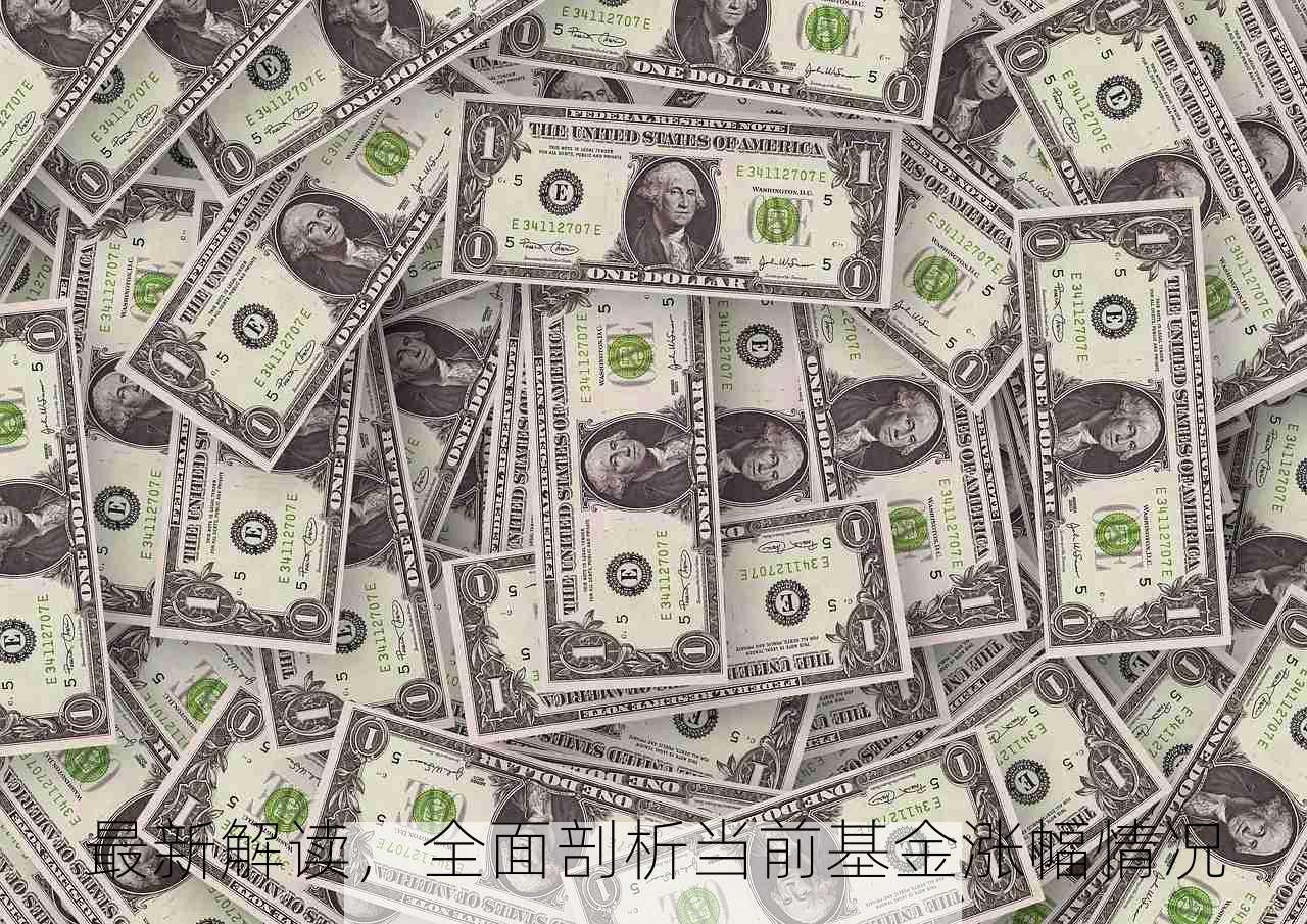 最新解读，全面剖析当前基金涨幅情况