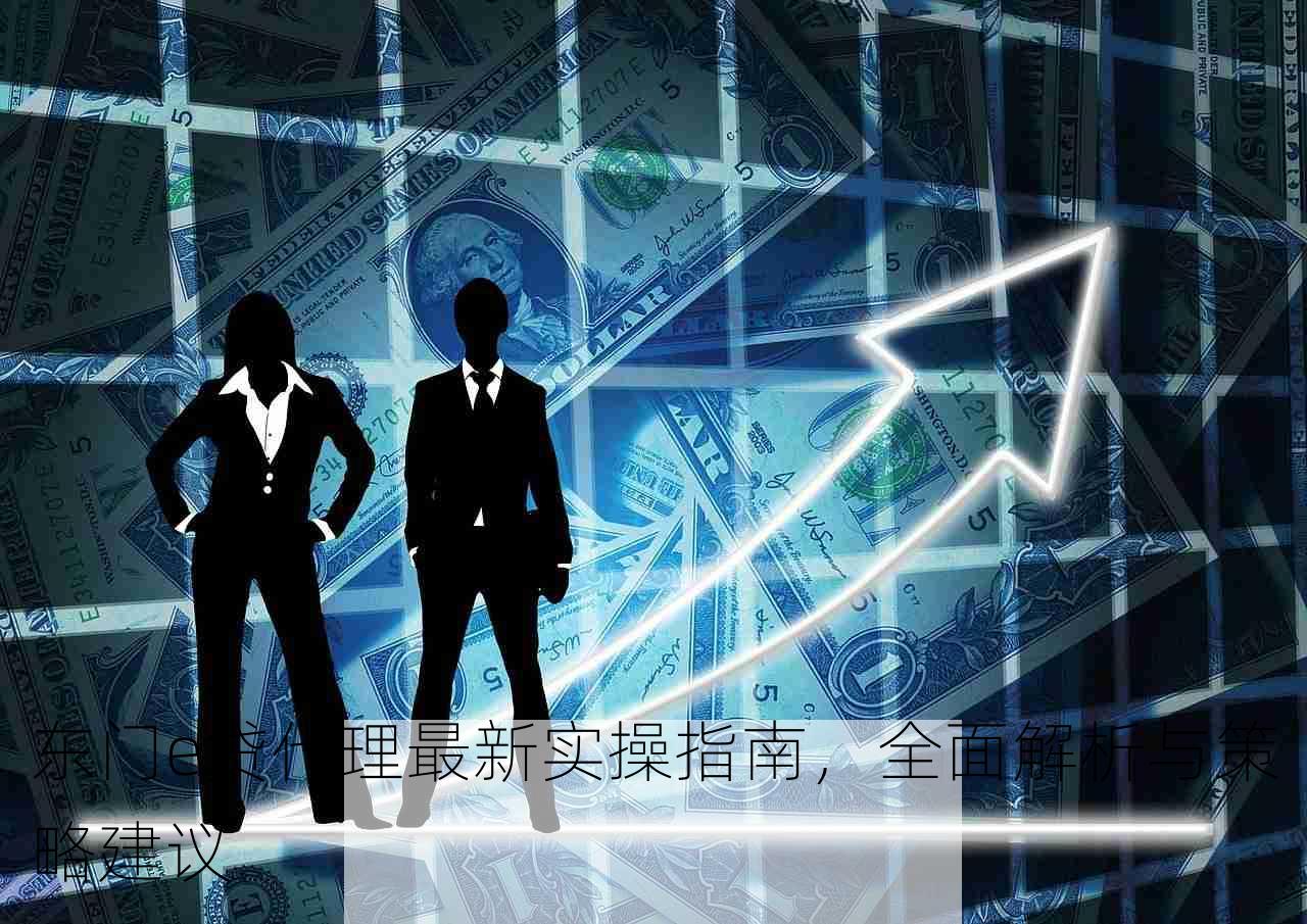 东门e贷代理最新实操指南，全面解析与策略建议