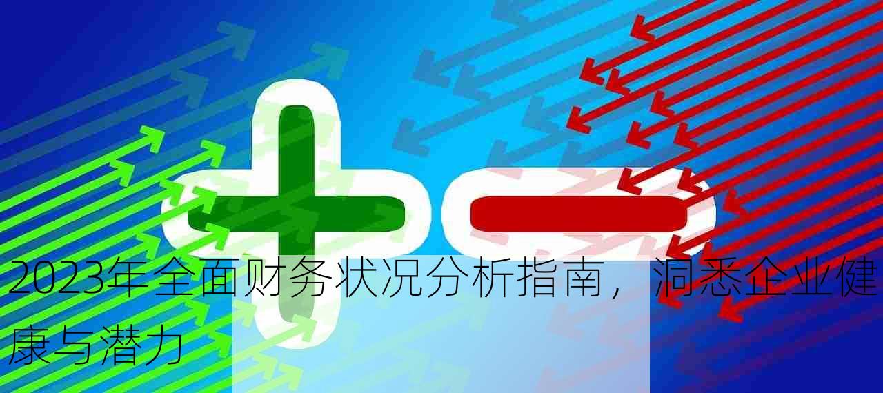 2023年全面财务状况分析指南，洞悉企业健康与潜力