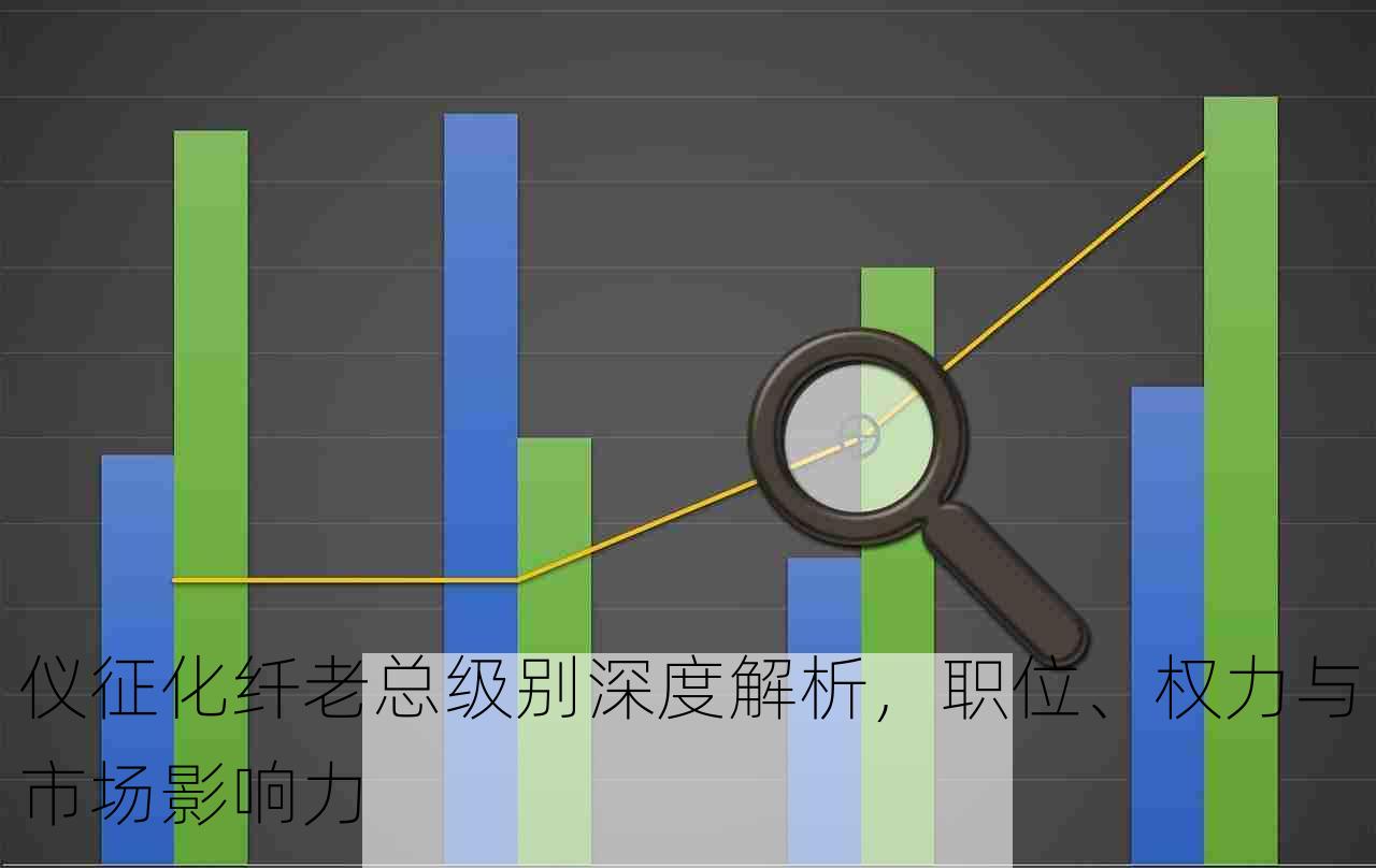 仪征化纤老总级别深度解析，职位、权力与市场影响力