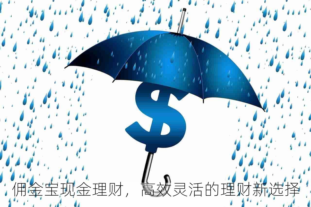 佣金宝现金理财，高效灵活的理财新选择