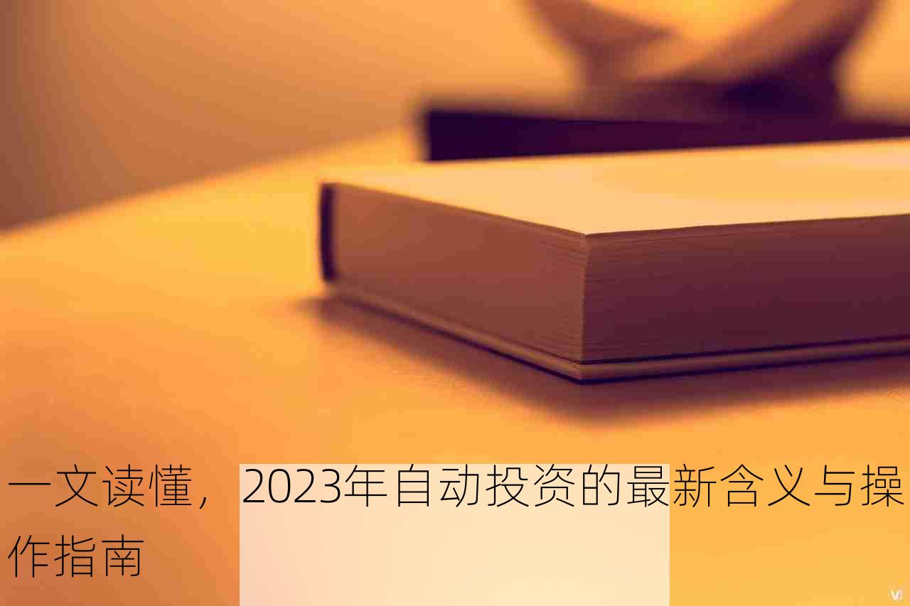 2023年自动投资