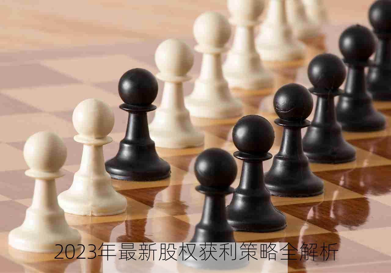 2023年最新股权获利策略全解析