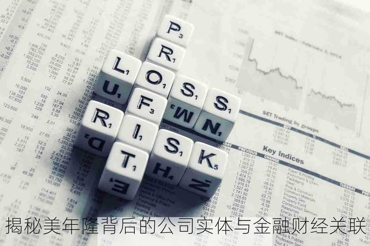 揭秘美年隆背后的公司实体与金融财经关联