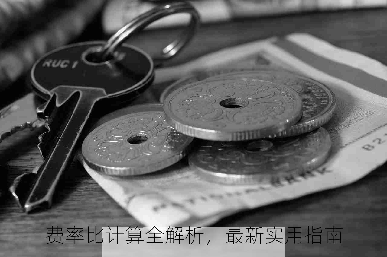 费率比计算全解析，最新实用指南