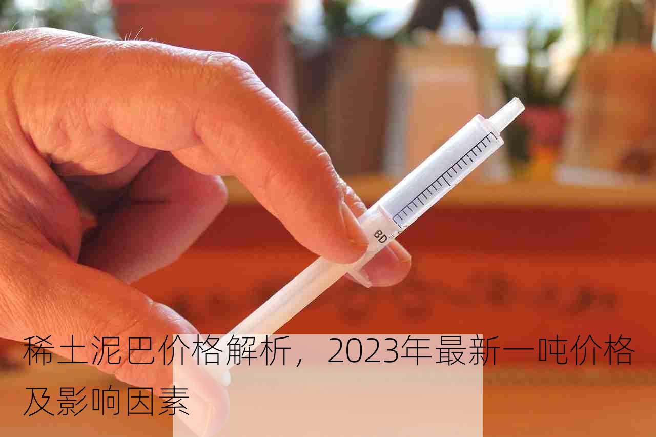 稀土泥巴价格解析，2023年最新一吨价格及影响因素