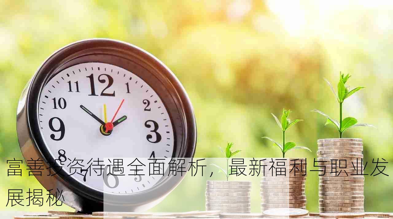 富善投资待遇全面解析，最新福利与职业发展揭秘