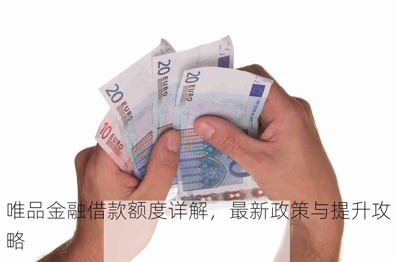 唯品金融借款额度详解，最新政策与提升攻略