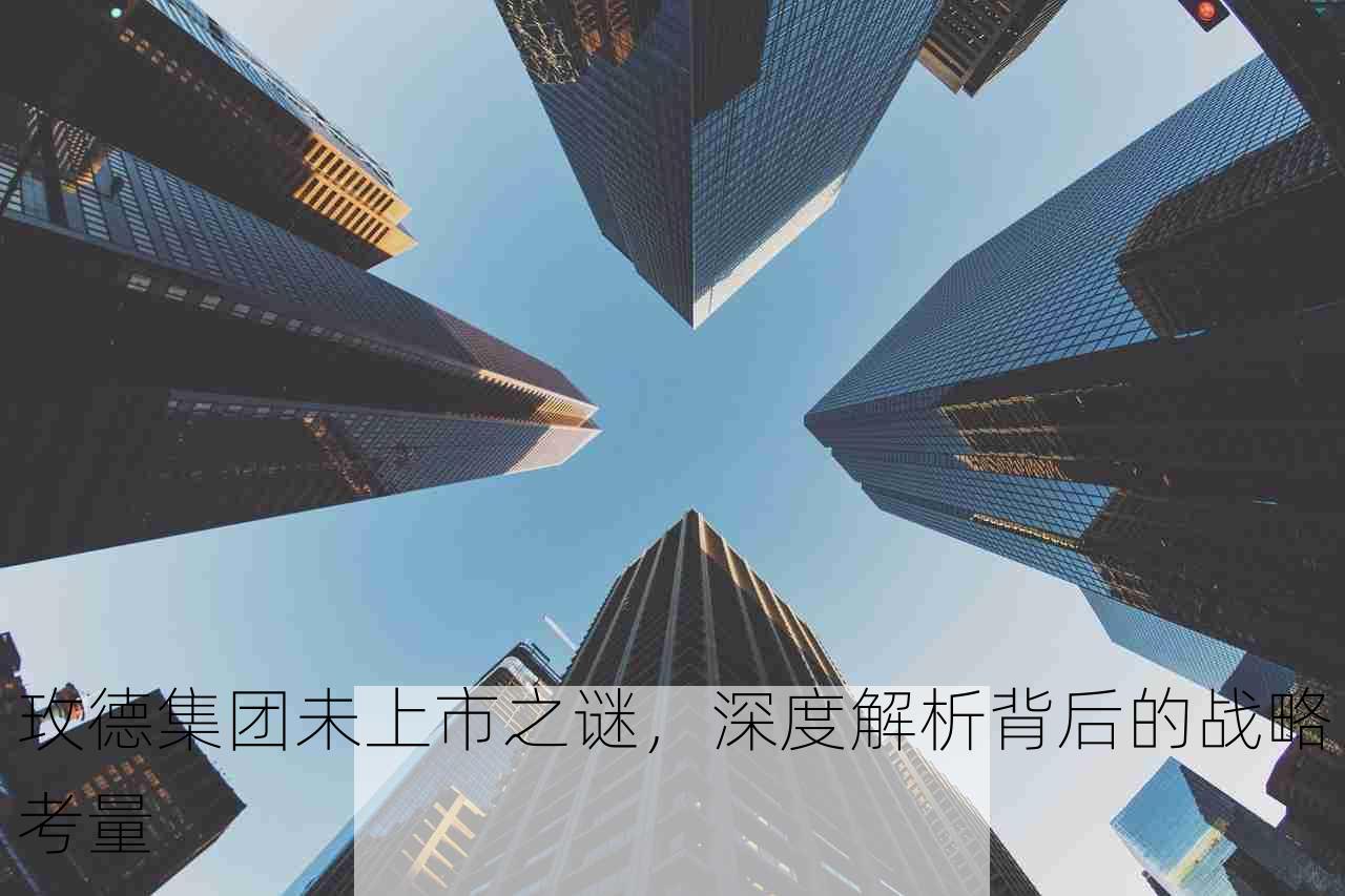 玫德集团未上市之谜，深度解析背后的战略考量