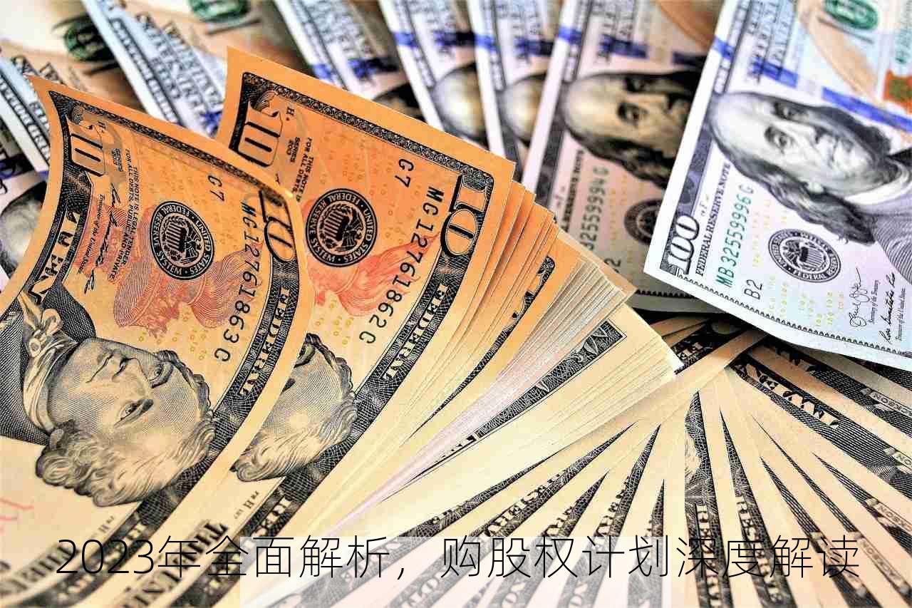 2023年全面解析，购股权计划深度解读