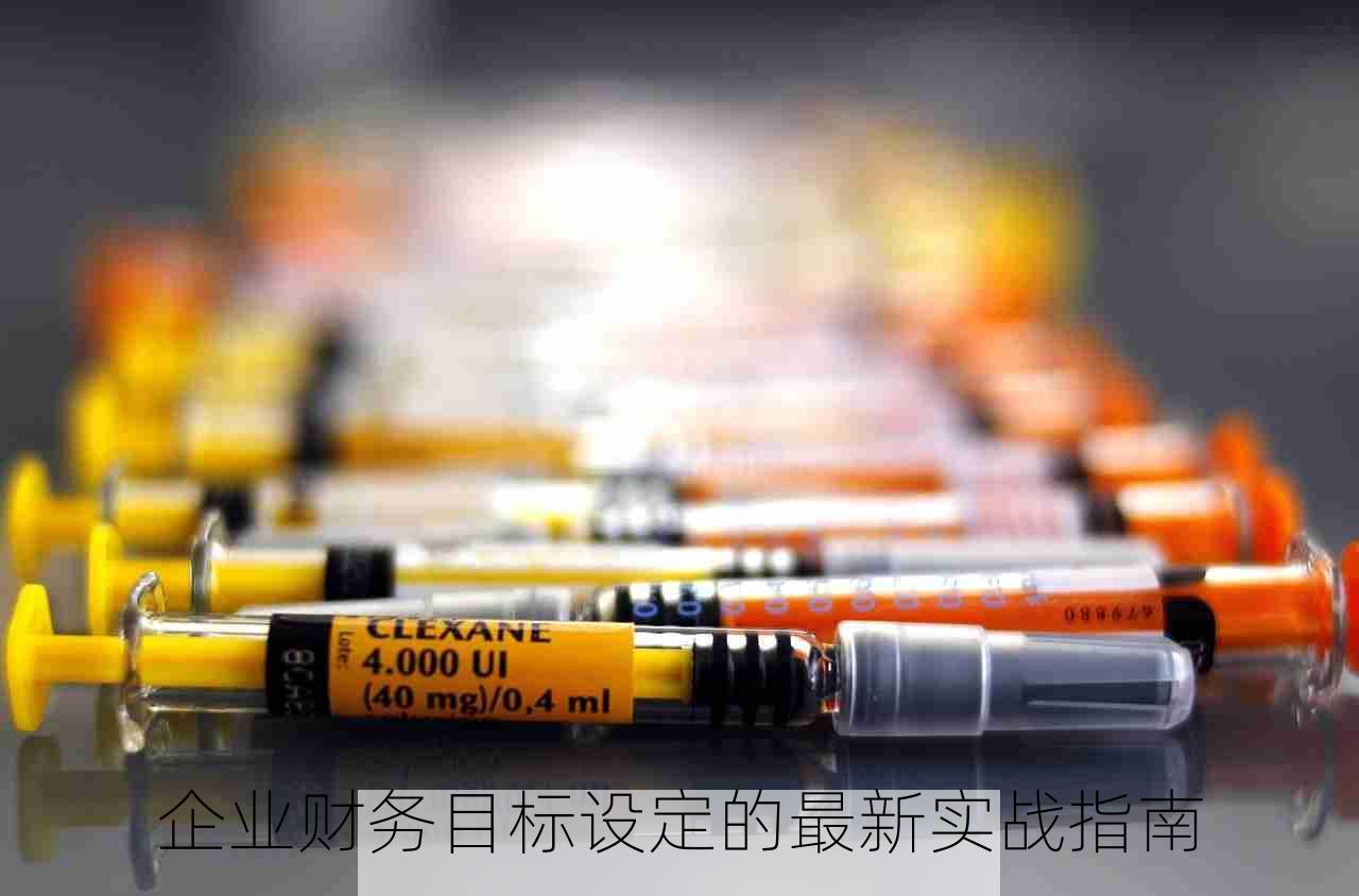 企业财务目标设定的最新实战指南