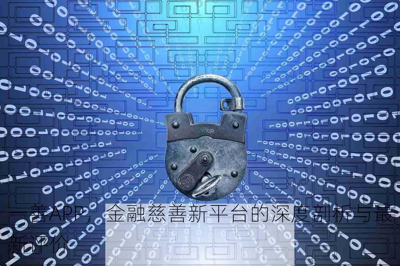 一善APP，金融慈善新平台的深度剖析与最新评价