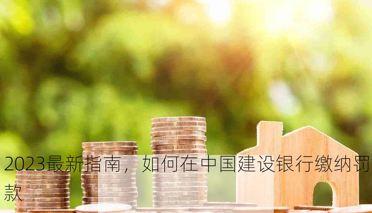 2023最新指南，如何在中国建设银行缴纳罚款