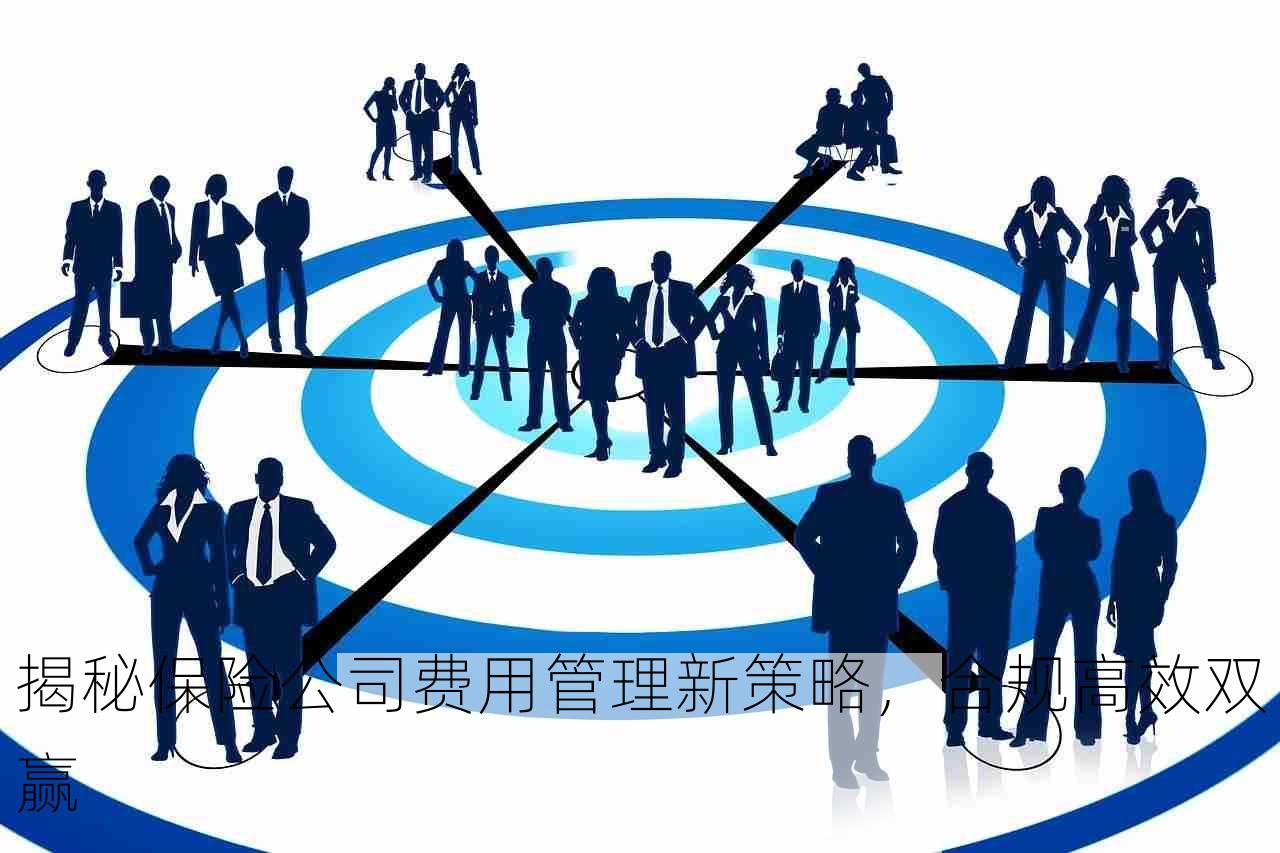 揭秘保险公司费用管理新策略，合规高效双赢