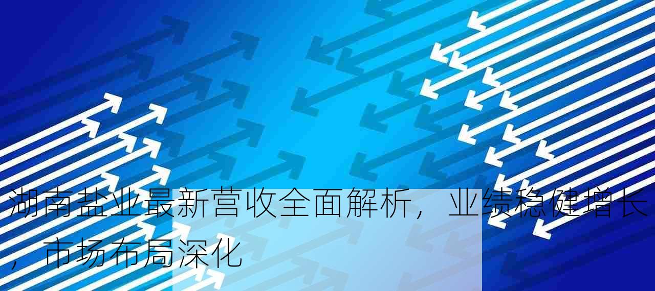 湖南盐业最新营收全面解析，业绩稳健增长，市场布局深化