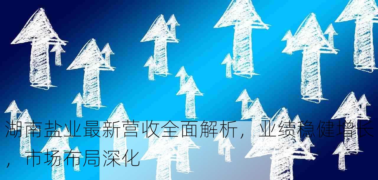 湖南盐业最新营收全面解析，业绩稳健增长，市场布局深化