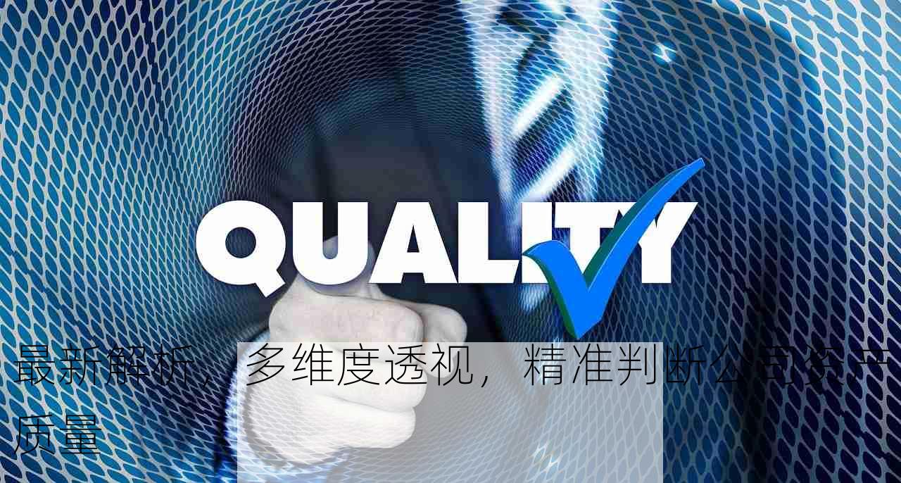 最新解析，多维度透视，精准判断公司资产质量