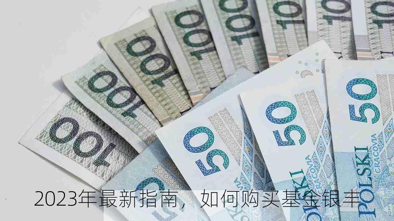 2023年最新指南，如何购买基金银丰