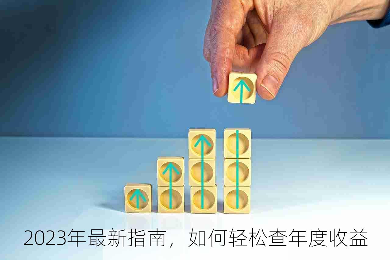 2023年最新指南，如何轻松查年度收益