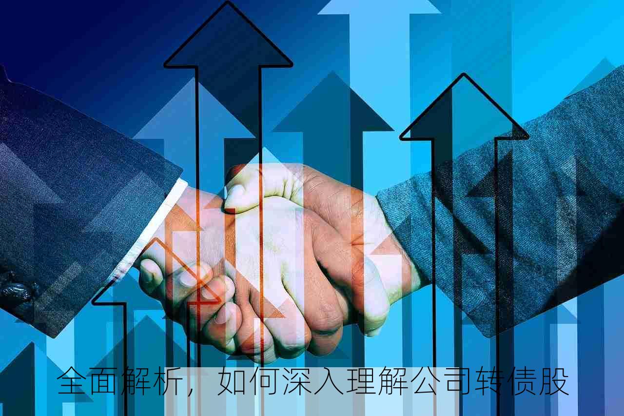 全面解析，如何深入理解公司转债股