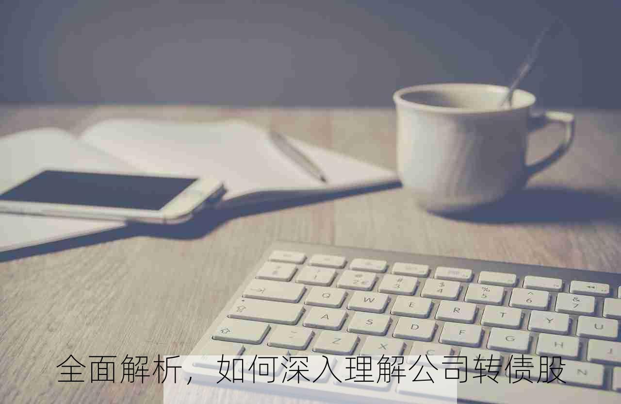 全面解析，如何深入理解公司转债股