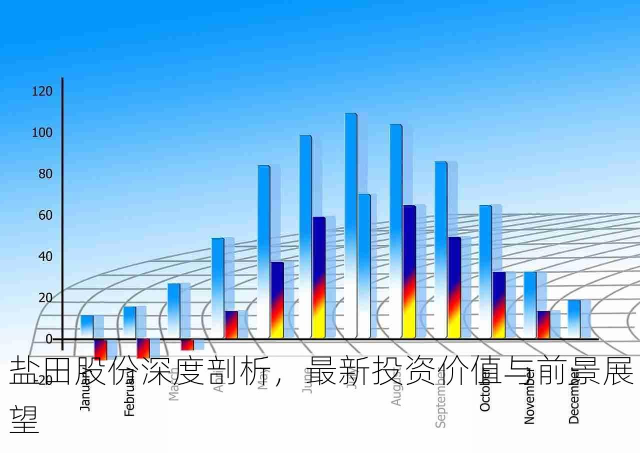 盐田股份深度剖析，最新投资价值与前景展望