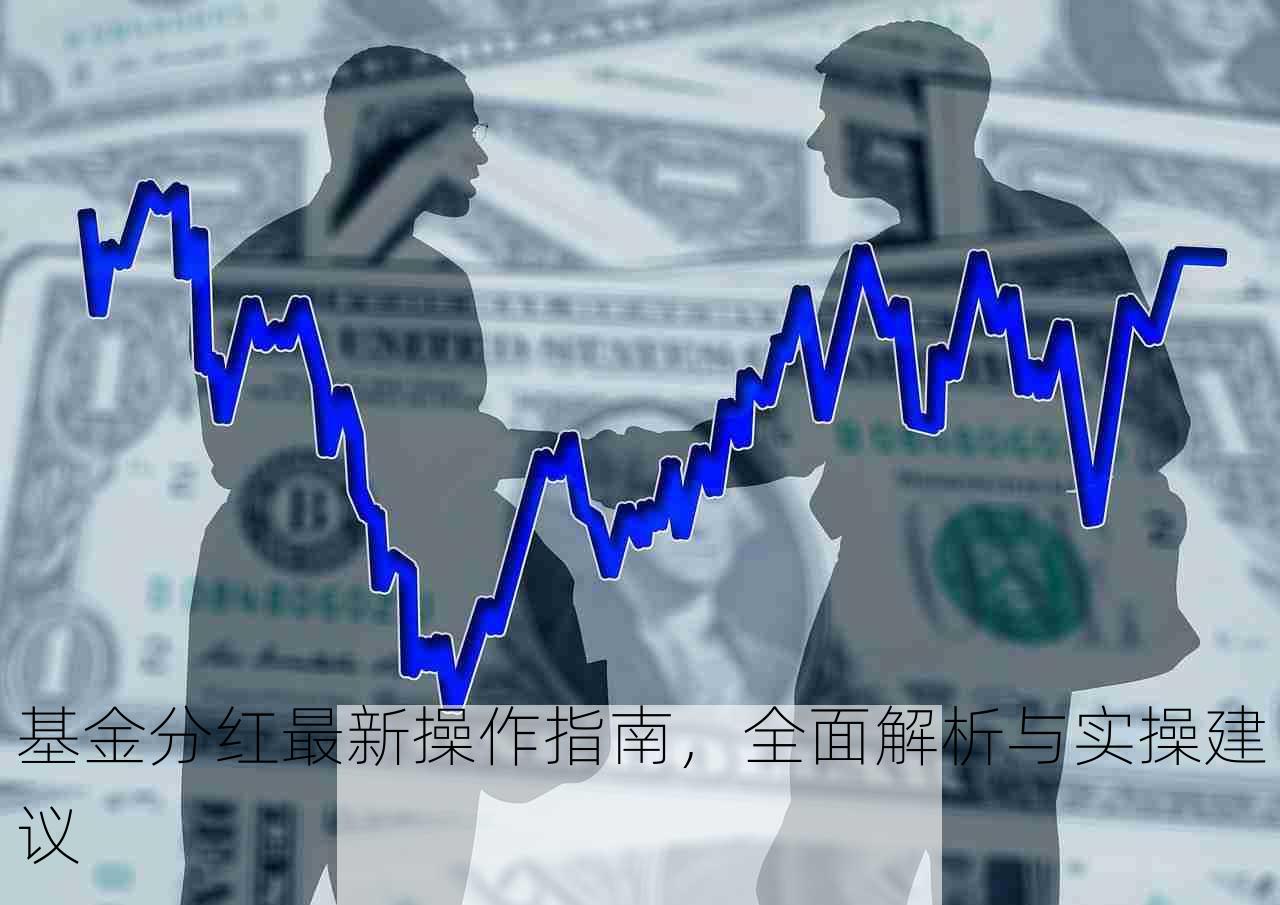 基金分红最新操作指南，全面解析与实操建议