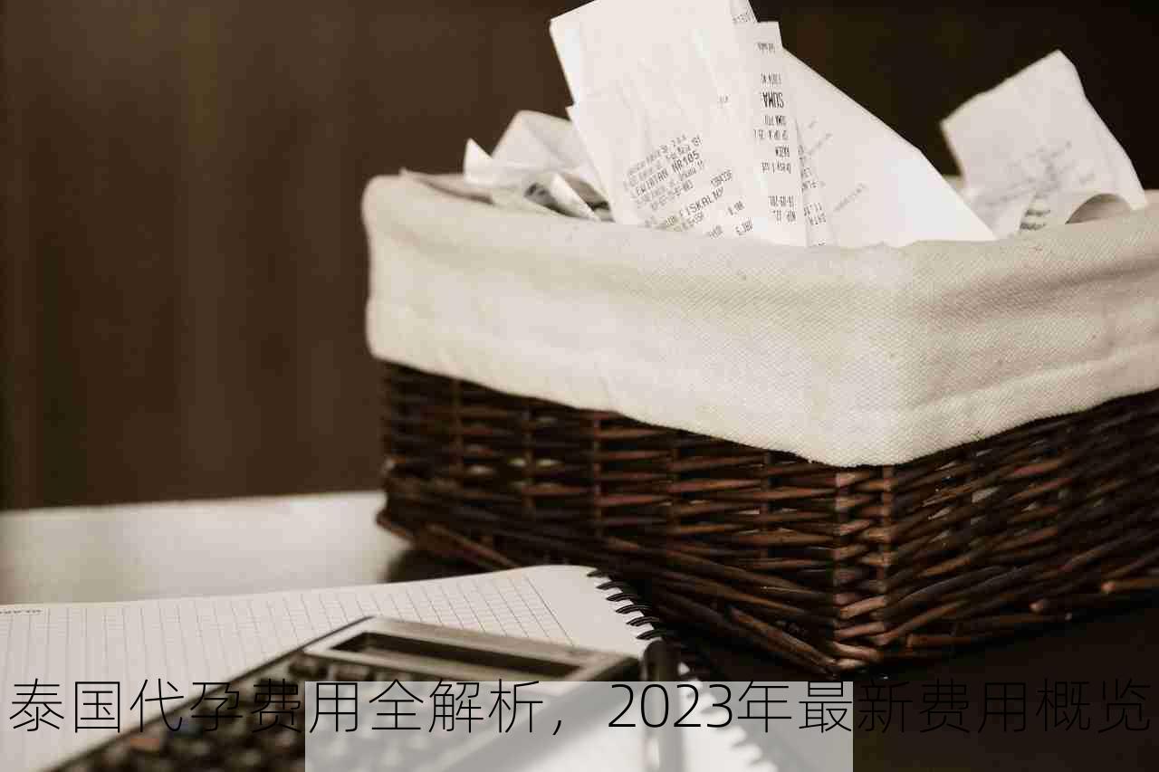 泰国代孕费用全解析，2023年最新费用概览