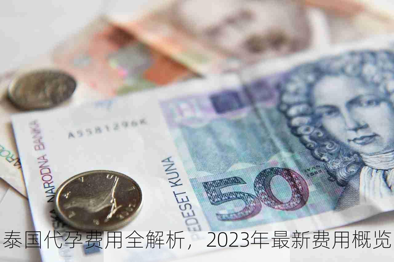 泰国代孕费用全解析，2023年最新费用概览