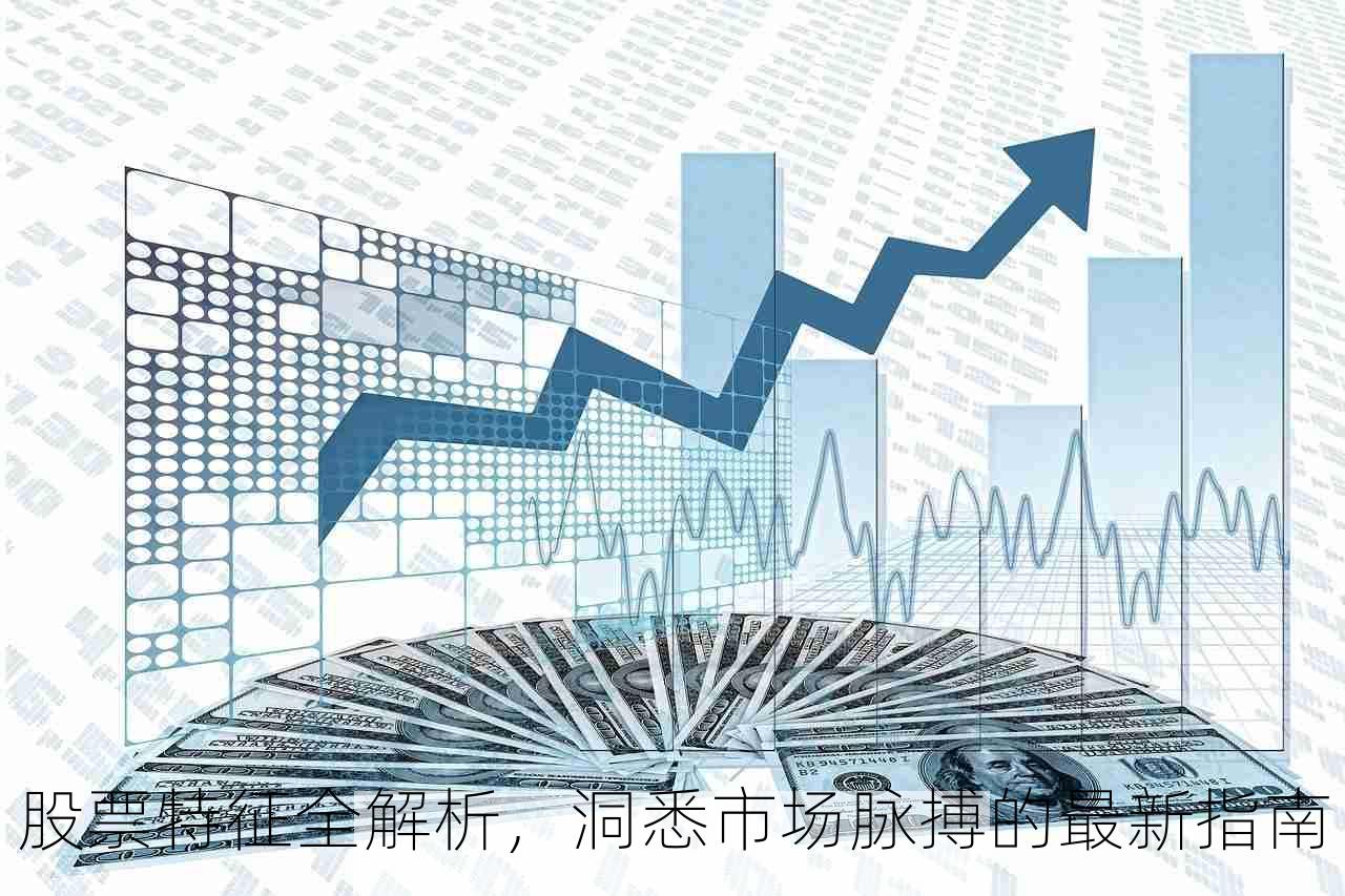 股票特征全解析，洞悉市场脉搏的最新指南