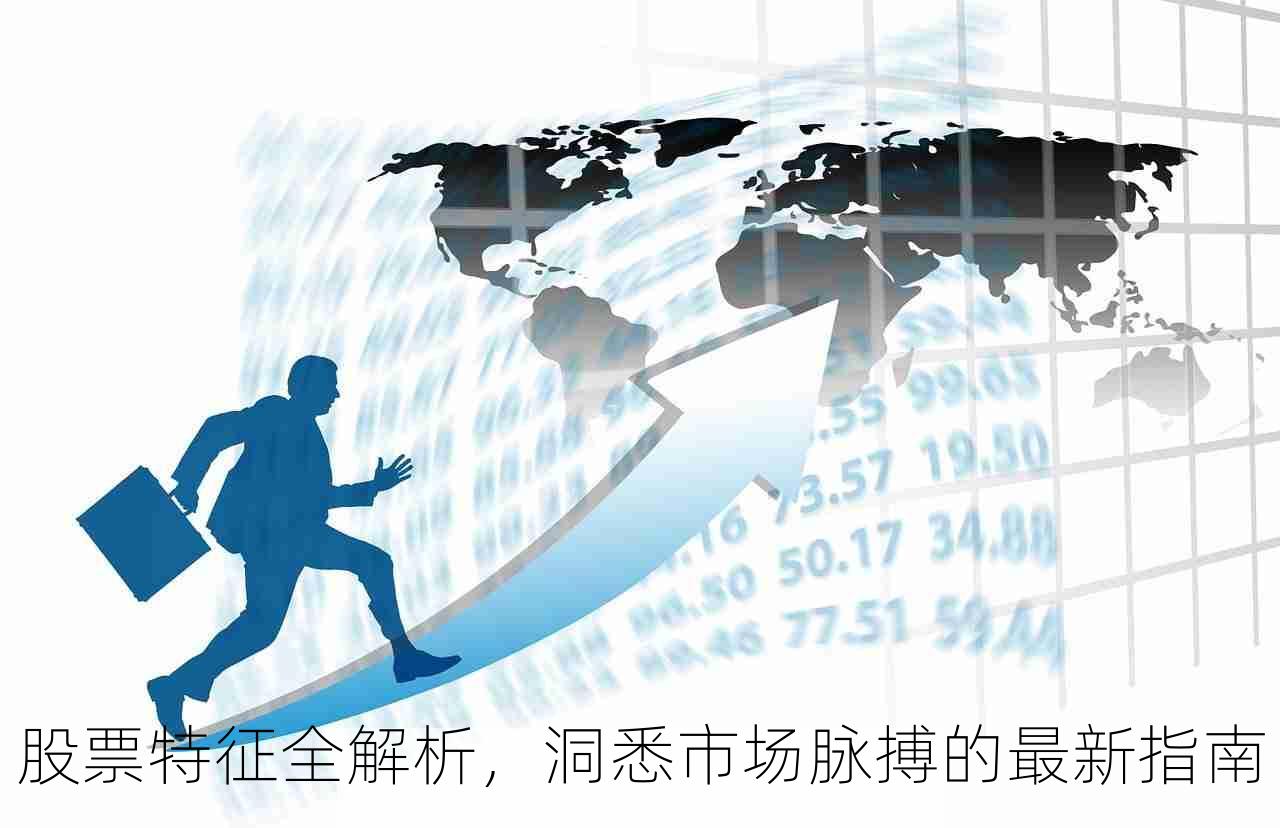 股票特征全解析，洞悉市场脉搏的最新指南