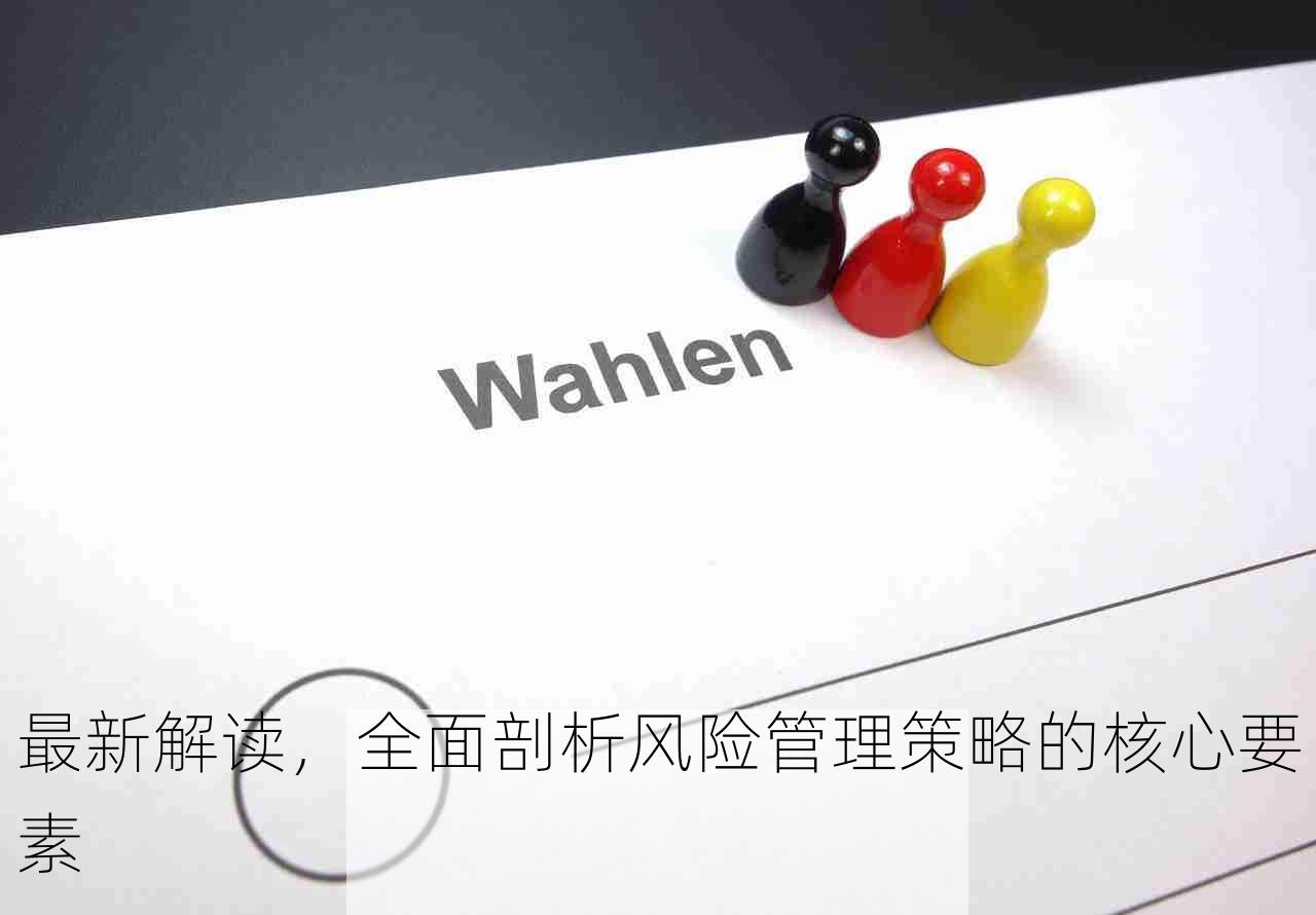 最新解读，全面剖析风险管理策略的核心要素