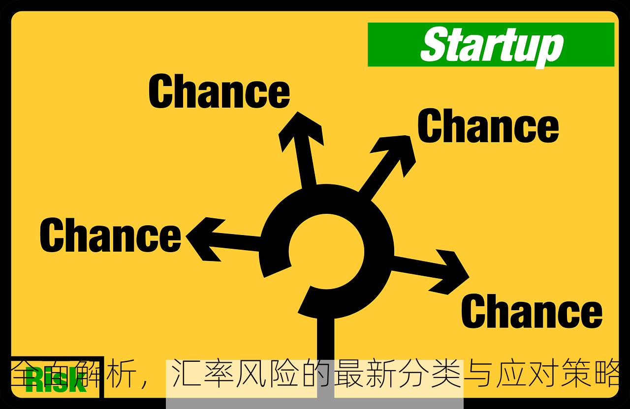 全面解析，汇率风险的最新分类与应对策略