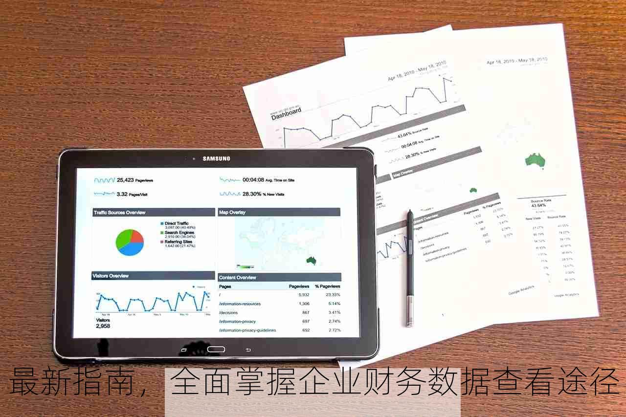 最新指南，全面掌握企业财务数据查看途径