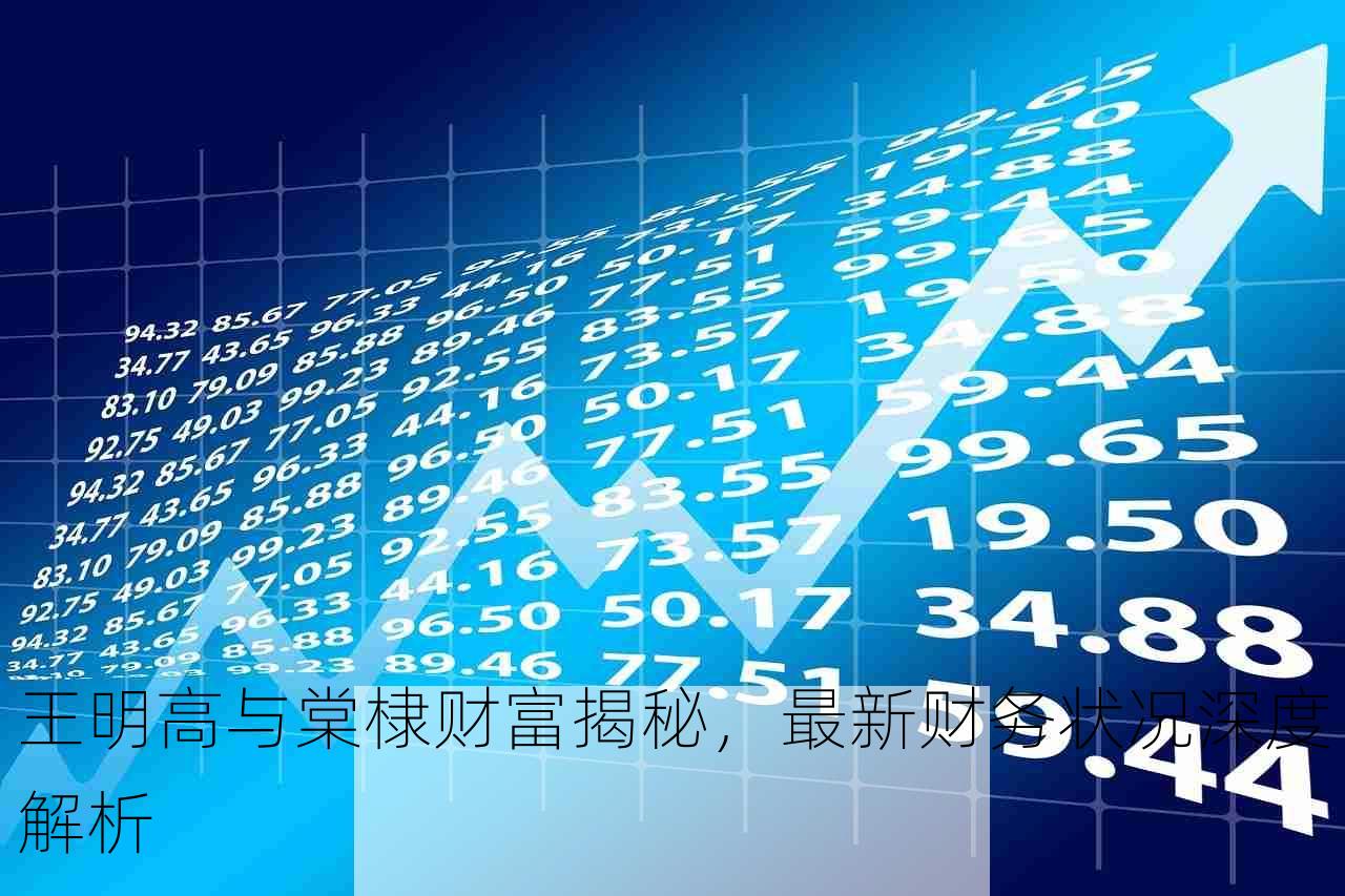 王明高与棠棣财富揭秘，最新财务状况深度解析