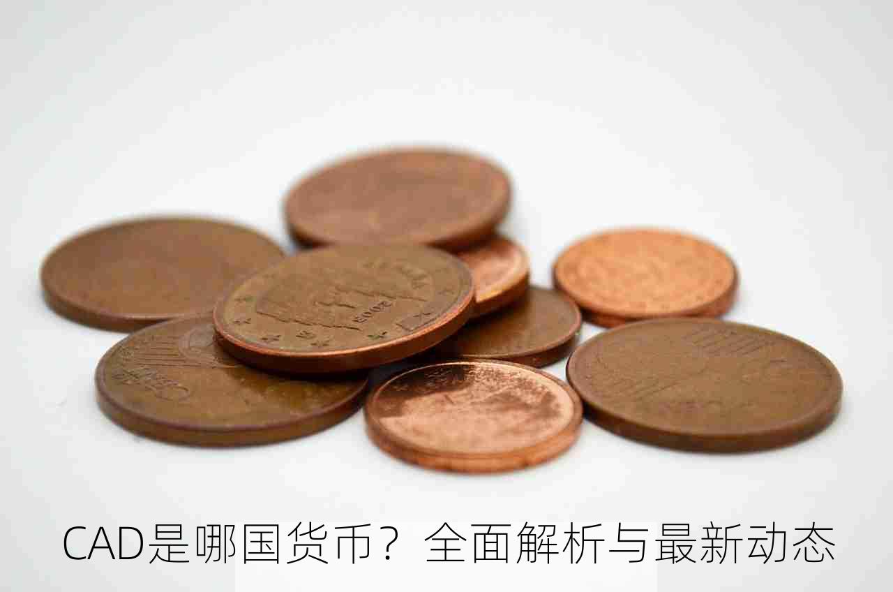 CAD是哪国货币？全面解析与最新动态