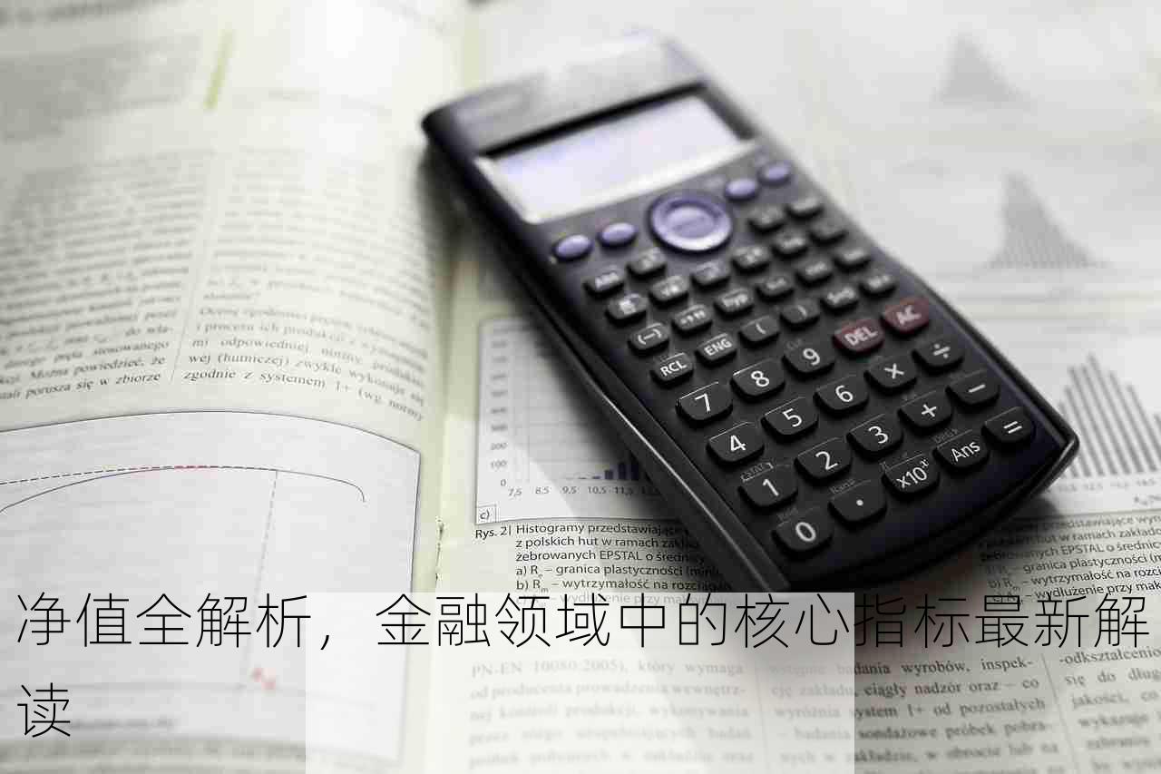 净值全解析，金融领域中的核心指标最新解读