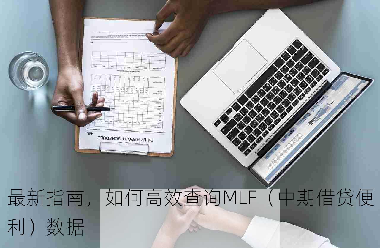 最新指南，如何高效查询MLF（中期借贷便利）数据