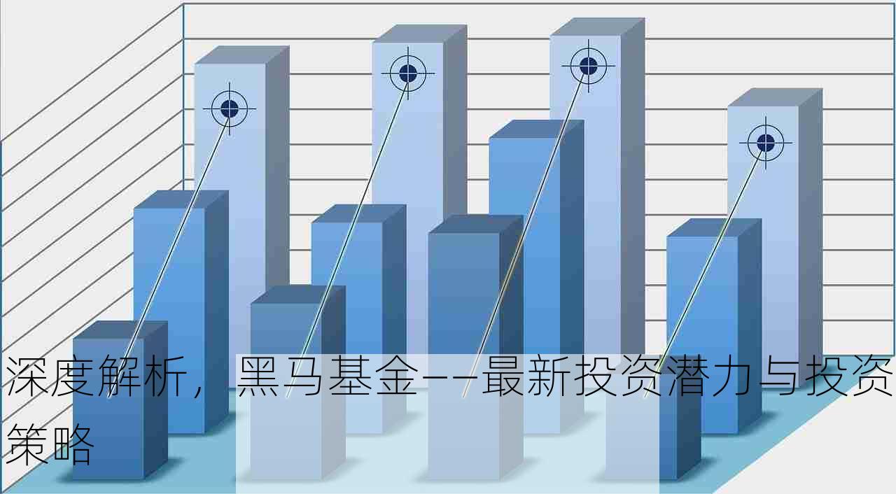 深度解析，黑马基金——最新投资潜力与投资策略