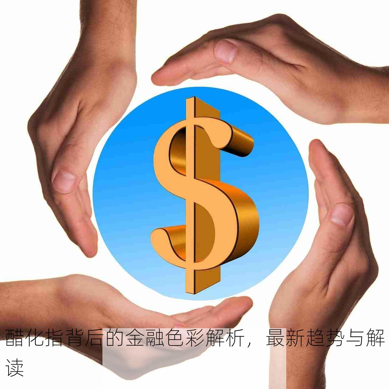 醋化指背后的金融色彩解析，最新趋势与解读