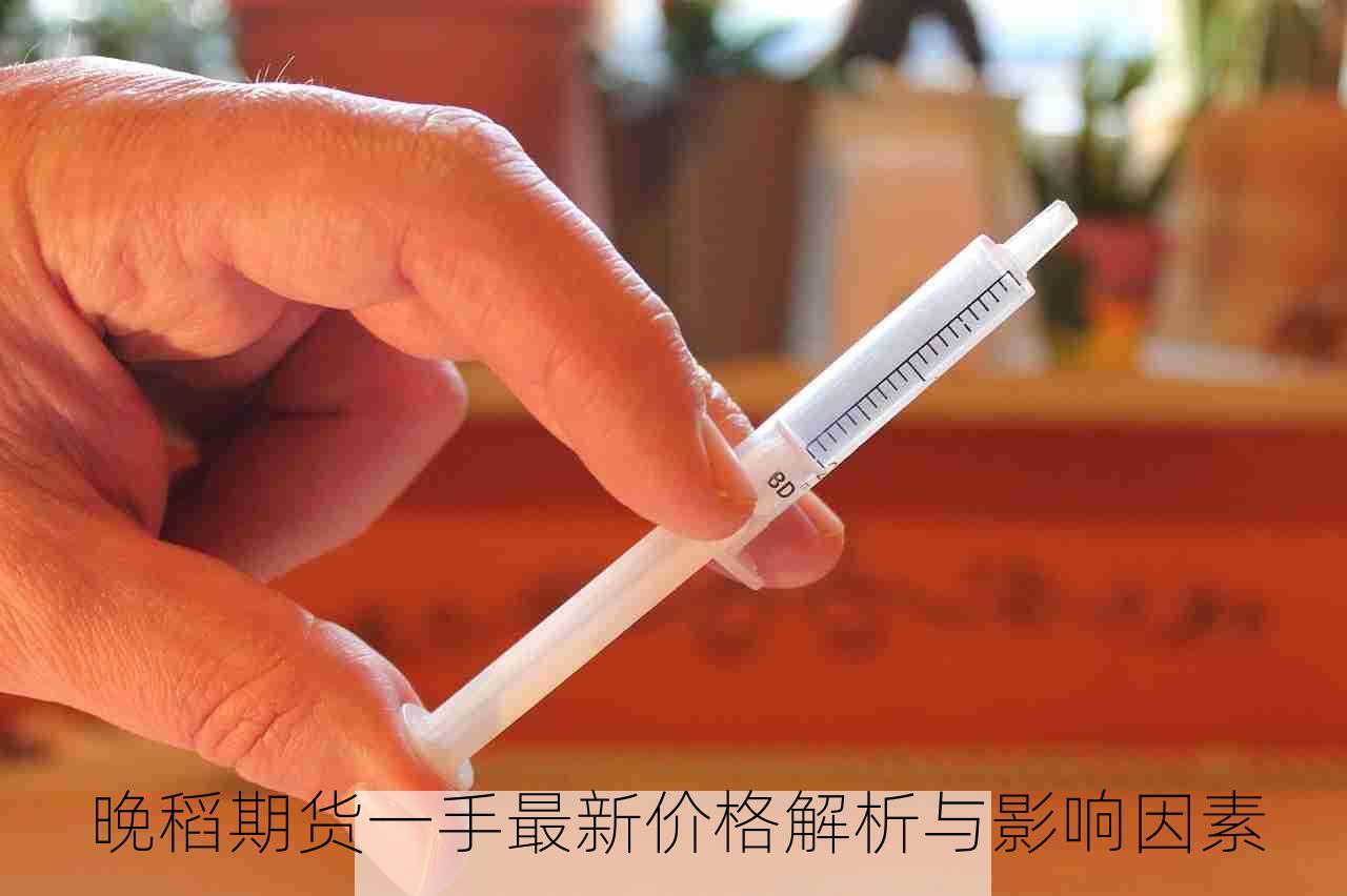 晚稻期货一手最新价格解析与影响因素